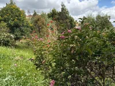 Casa tipo cabaña en venta al norte de Tunja | Lote amplio y ambiente campestre